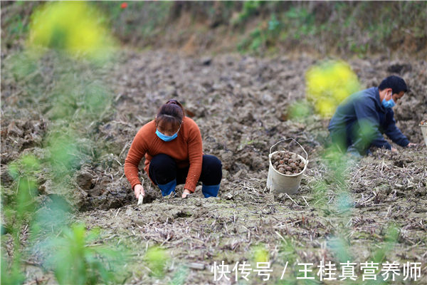 姜片虫|生吃荸荠？27岁女子体内取出活虫，荸荠生吃需谨慎