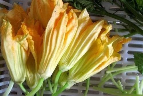 气色|富含营养的食物，坚持吃点，改善肤质，促进消化，谁吃谁气色好