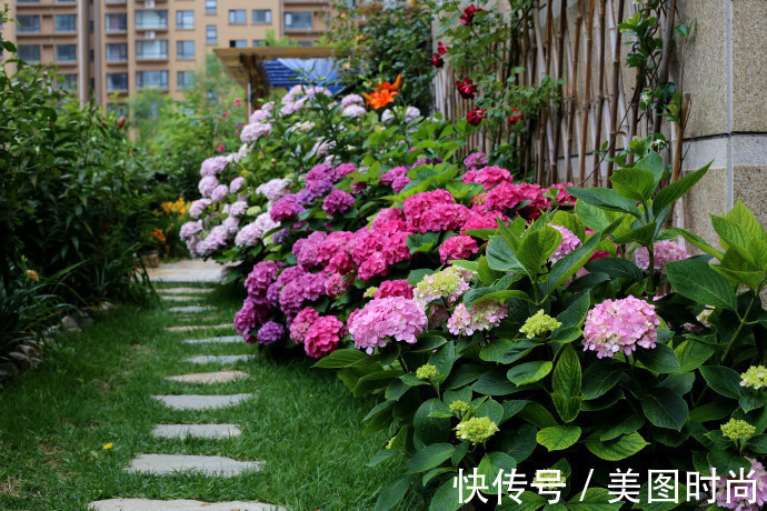 阳台上|为建花园,不顾反对买了一楼带院子,3年的亲手布置朋友都羡慕了