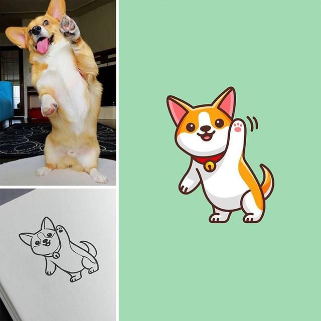 插画师|他把现实中的动物画成漫画插图，萌出血了