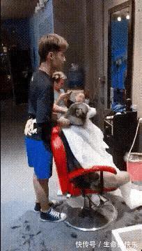 |搞笑神评:现在修仙不行了,灵气太少了,我现在都是邪修