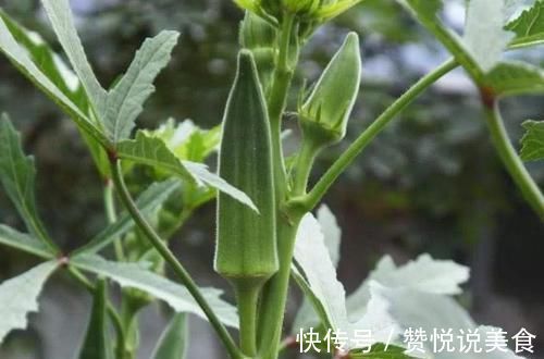 糖尿病|一旦查出糖尿病,再穷也要吃“它”,稳定血糖比胰岛素都强