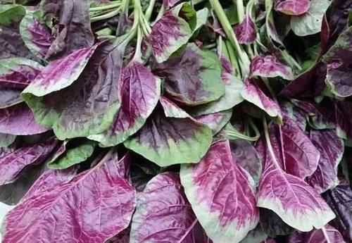 毛豆|女性要排毒,离不开三种食物,排出毒素,补足气血,维护子宫健康