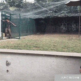 |搞笑GIF：这个伪装的太差了，我一看就知道是假的