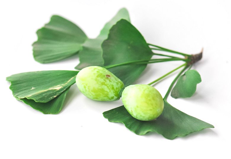 白果|不要捡！小心有毒！近期将大量出现