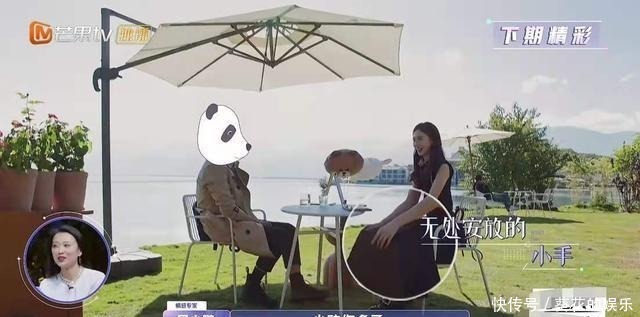 做家务的男人|金晨对“新男友”一见钟情,张继科吃醋发动态,疑似内涵节目组