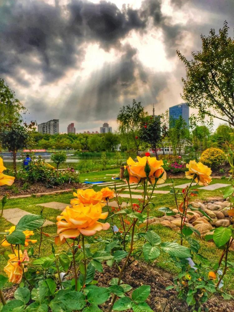  去过|莘庄梅园旁藏了个高颜值网红打卡地，你去过了么？