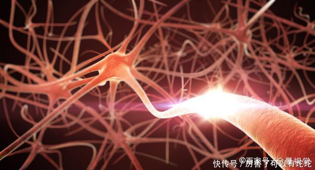 50岁之后,是脑梗高发期,若2处“变硬”,脑梗正在向你“突进”