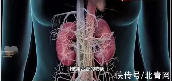 养肾|?常做这6件事，肾病可能已经“盯”上你了！入冬养肾，用好3样宝