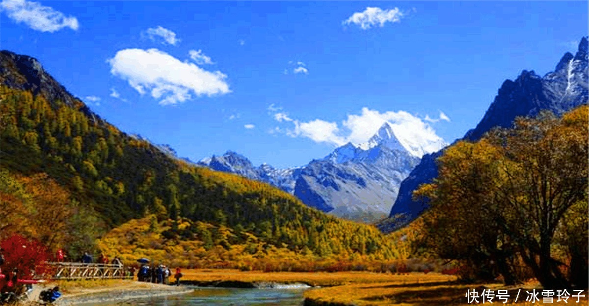 玩鸟|俗语 “钓鱼穷三年, 玩鸟毁一生”下句才是精华, 千人只有一人知!