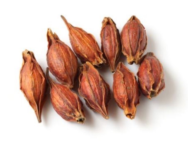 神农本草经|一朵美丽的花，竟然是“去火”第一药，可清除五脏之火