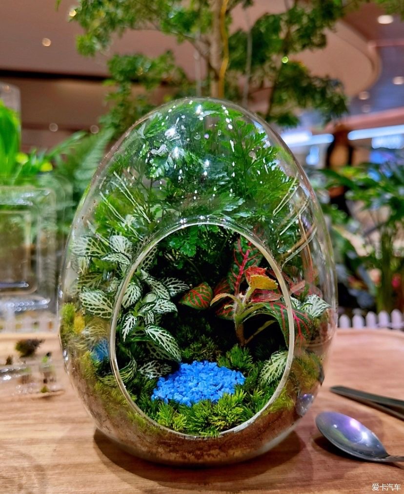 冬天的峨眉一个童话般的冰雪世界，真是美不胜收