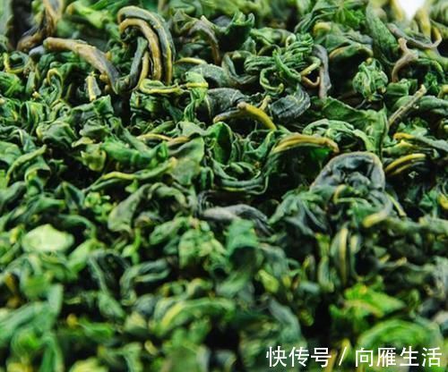 风热感冒|桑叶又称”神仙草“,坚持用桑叶泡水喝一周,4大喜事会悄悄登门