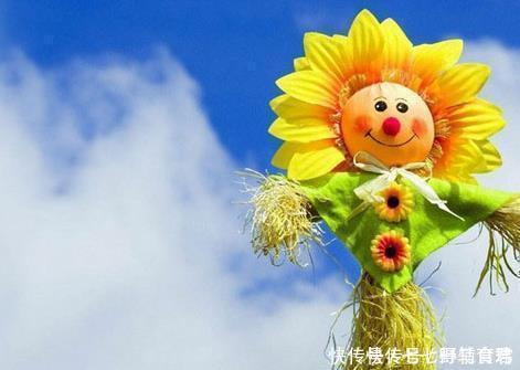 疾病|想要长寿的人,不论男女,日常牢记做好6点,长寿更“爱”你!