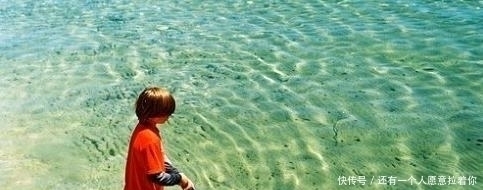 “水至清则无鱼,人至察则无徒”的含义,我们真正弄懂了