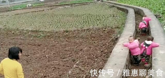 小推车|最勤劳奶奶走红,独自带四胞胎还干农活,网友:这才叫“圈养”