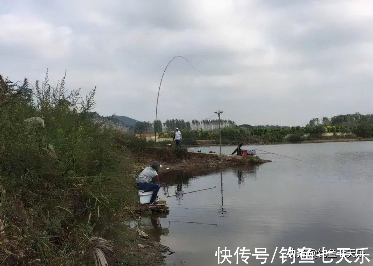 钓不到大鱼还不懂得舍弃，注意这三点，竿竿出大鱼