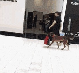 |搞笑GIF:冬天到了,地球有点冷,我给他烧点柴火