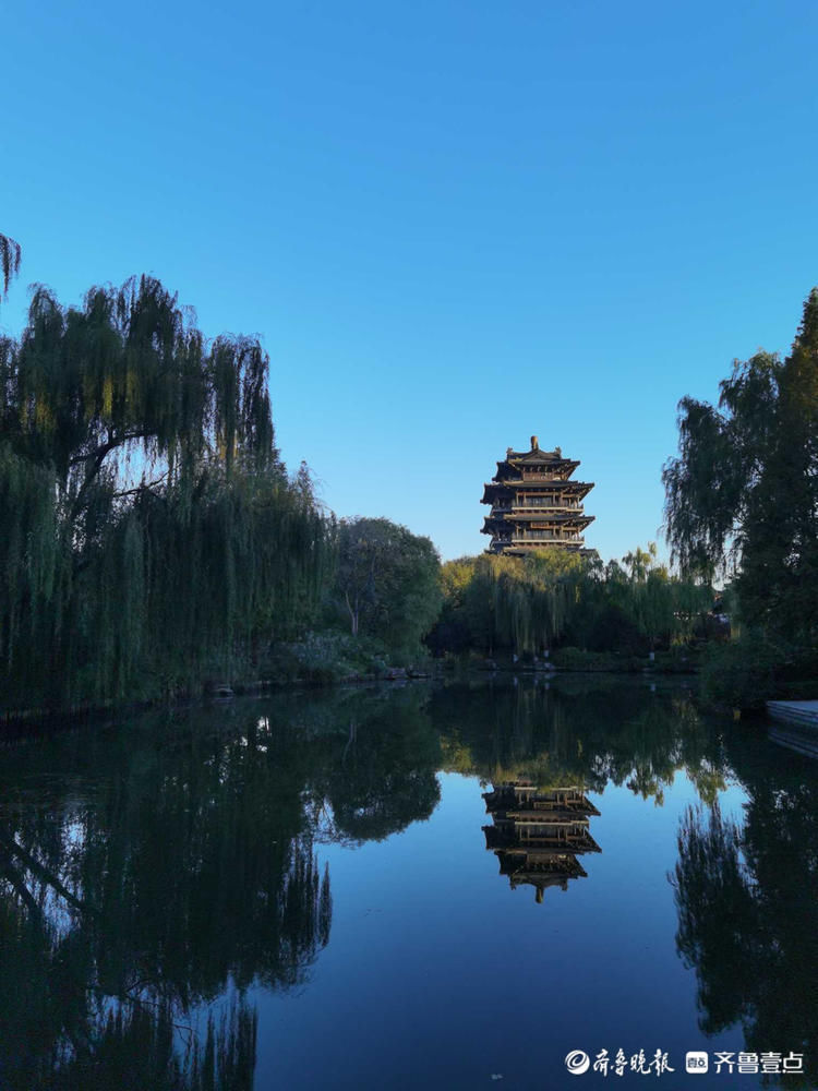 秋已成诗！济南大明湖天空澄碧纤云不染，简直美到心醉|情报站| 齐鲁壹点