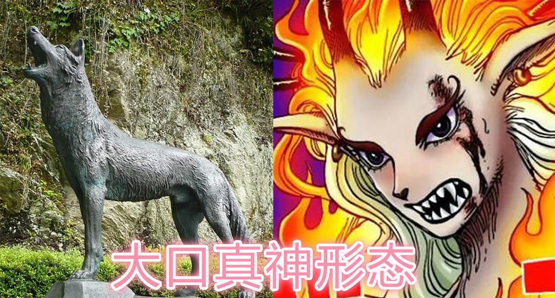 小蜘蛛|海贼王1020话情报:大和果实能力曝光,罗宾暴走,KO黑玛利亚