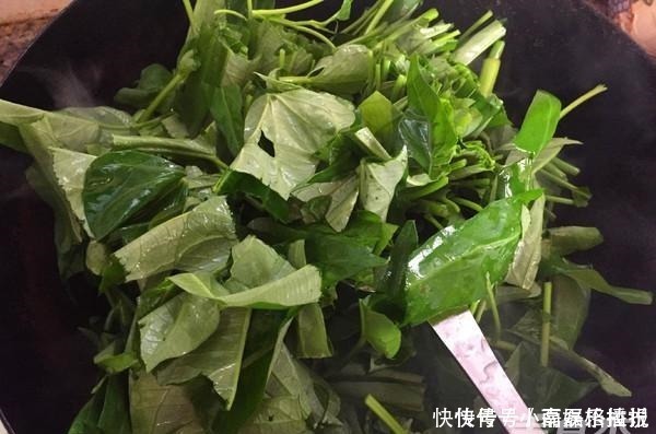 步骤|炒空心菜时，不要直接下锅炒，注意这个步骤，出锅翠绿又脆口