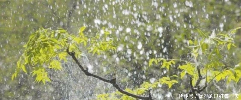 蒋捷这首词惊艳了700多年,写下了二十年漂泊的生活,充满了忧愁