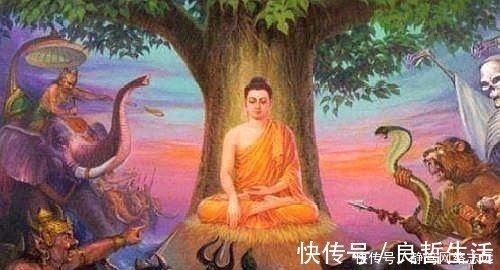 唐僧师徒#如来成佛前被人砍了3剑,他说:待我成佛后,必取你身上3样东西