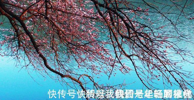 钓法|教你4招“风天钓鱼法”,鱼上得比平时还快,往后钓鱼无风不欢了