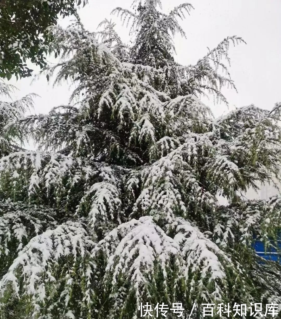  那一场风花雪月的事