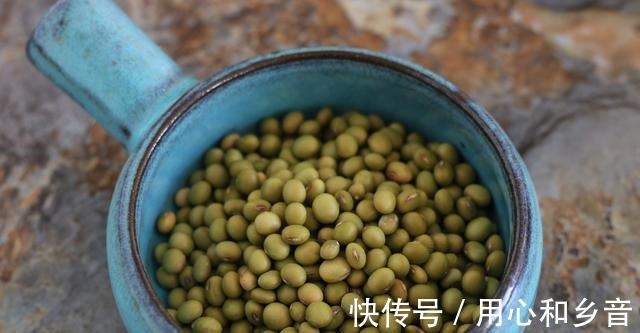 冬天打豆浆,我都会加点儿它,营养滋补口感妙,让家人平稳过冬!