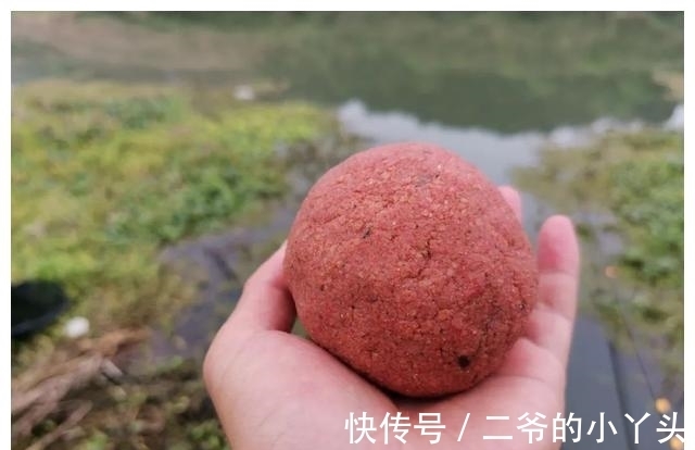 天气冷蓝鲫效果不好了?配上这2种饵料再试试,真的好用!