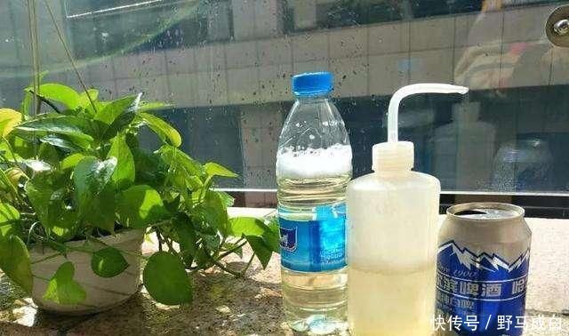 芒种过后,自制3种“浇花肥水”,一个月喂2-3次,根壮叶绿、花艳