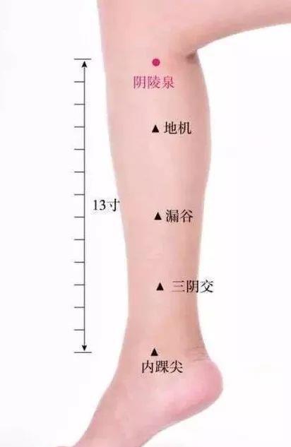 药材|四君子汤，补气养血第一名方！灸透身体这4穴，胜喝四君子汤！