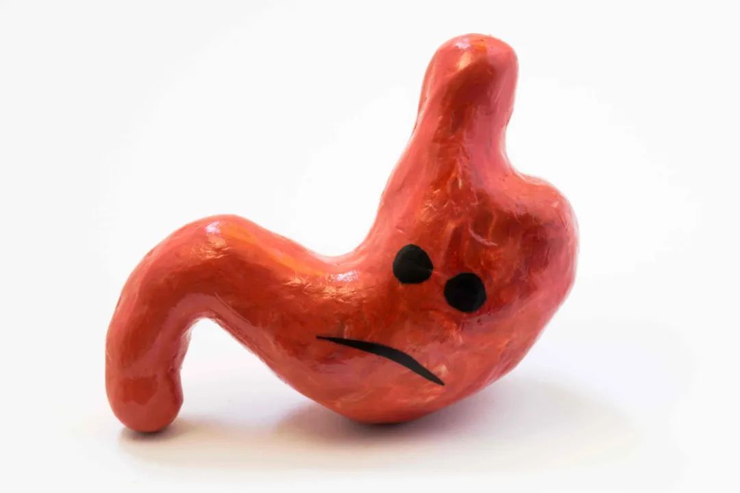 医学衷中参西录|节假日饮食不规律,导致脾胃的负担过重,不妨试一下这味中药材