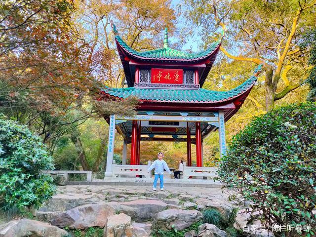 《七绝.初冬印象》霜染苍茫已入冬，枝条飞叶落无穷