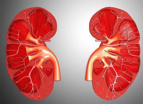脾胃|天气越冷身体越不通,一补就上火,上热下寒的人,在家就能做