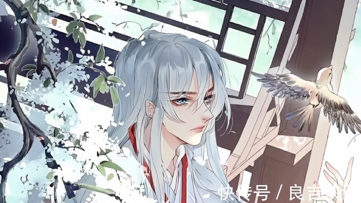 师尊！推修仙纯爱小说：师尊这个职业真高危，美人师尊VS白切黑徒弟