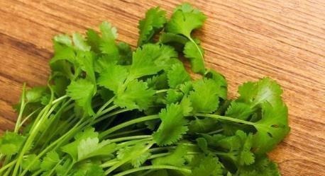 香菜|小茴香起大作用不出2周,滑膜炎积液走丢了,膝盖也不疼了