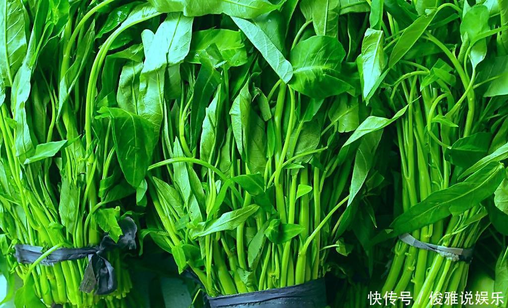 空心菜為何一炒就黑,原來“第一步”就搞錯了,難怪家人不喜歡吃