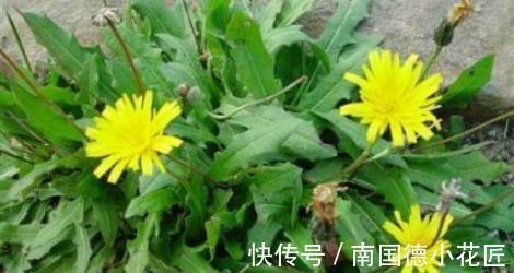 女性|女性不想变老太婆,推荐多吃3种食物,美容养颜、滋润肌肤!