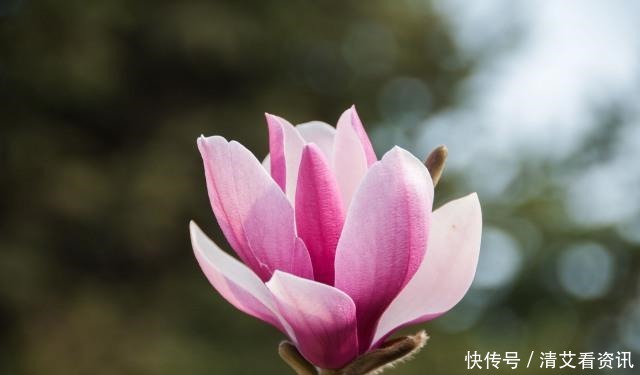 人到低谷,不管多穷,都别喊穷