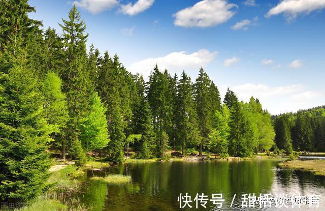 归隐$一首很有哲理的宋诗,每一句都有大智慧,告诉了世人很多的大道理