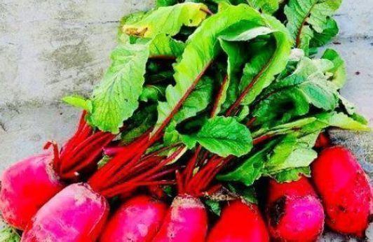 桑葚|适合秋天吃的4种食物,排毒养颜、滋补身体,好处多多