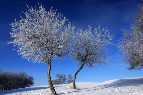 坝上，画家笔下的唯美雪原，冬季景色不输秋季与夏天