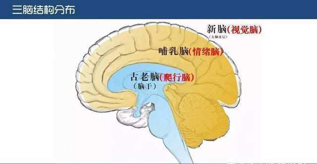 发泄|孩子动不动哭闹、发脾气,不打不骂不哄,教他告别“坏情绪”就好