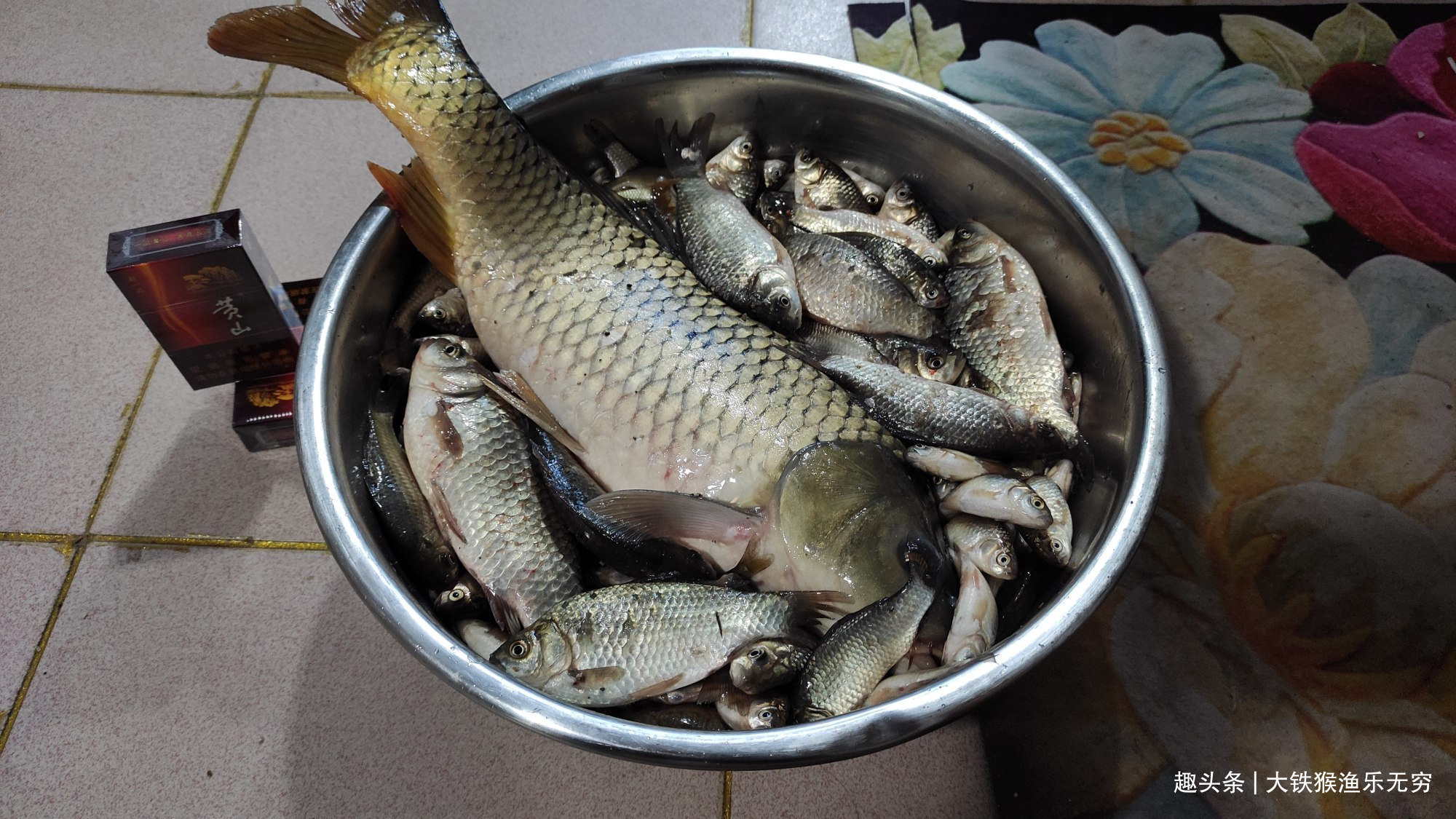 小杂鱼|解决小杂鱼“闹钩”的奇葩招数,这招叫以毒攻毒,钓鱼人完胜