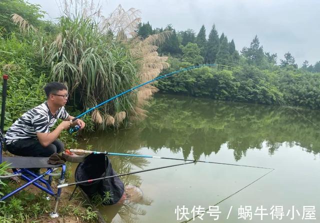 饵料|新手学钓鱼,应该要知道的5个真相