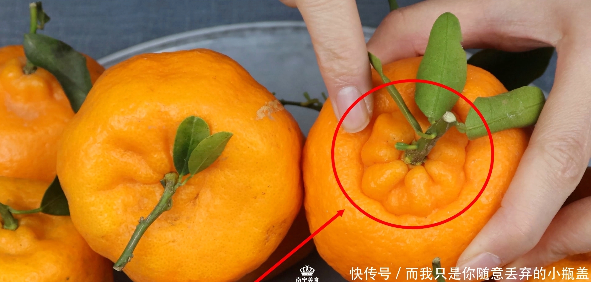 买丑橘要挑“母”的才好吃,教你5个挑选方法,学会后一挑一个准