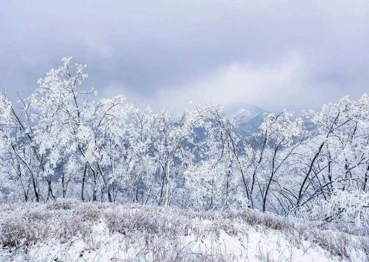 凝望|漫山的凝望 化成冰凝的雕塑