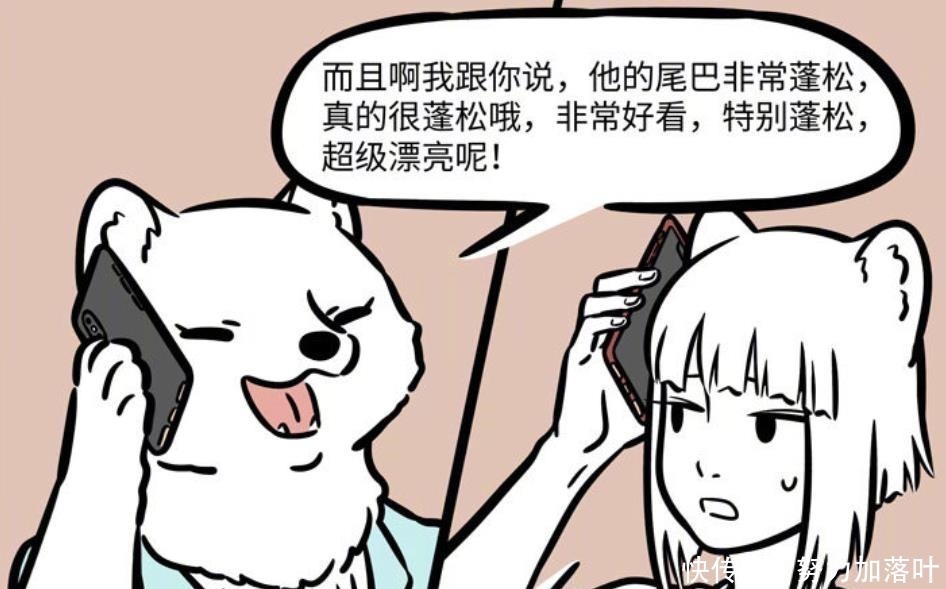 非人哉|非人哉九月媽眼光真好,讓九月和“博士”相親